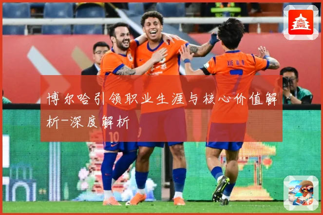 博尔哈引领职业生涯与核心价值解析-深度解析