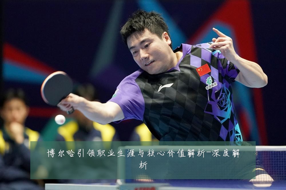 博尔哈引领职业生涯与核心价值解析-深度解析