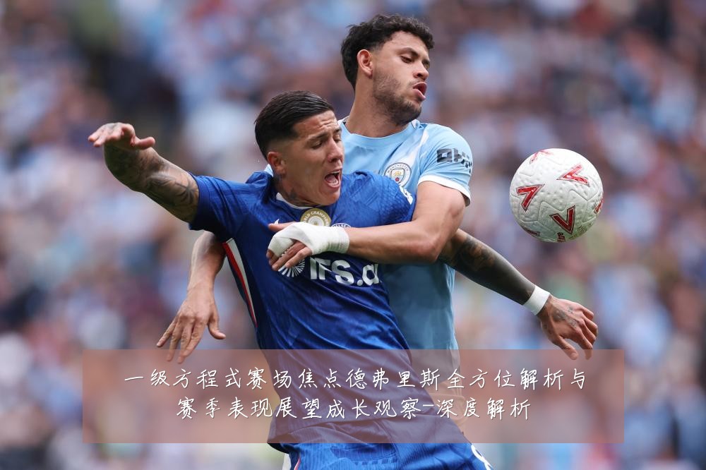 一级方程式赛场焦点德弗里斯全方位解析与赛季表现展望成长观察-深度解析